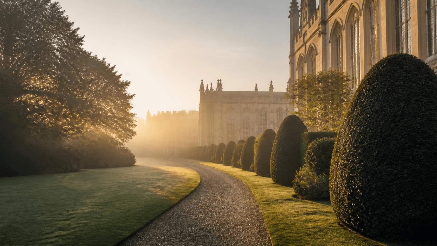 A garden path in the morning mist